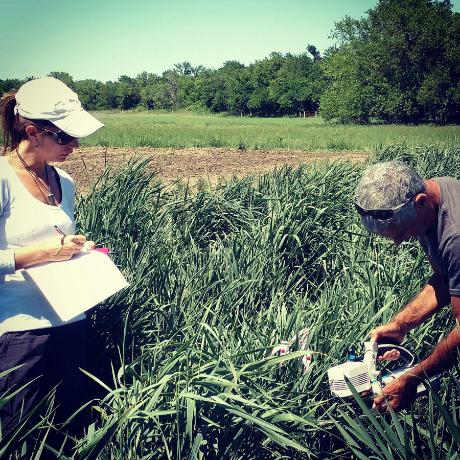 A team of Mef Researchers in the search of sustainable crops for arid areas