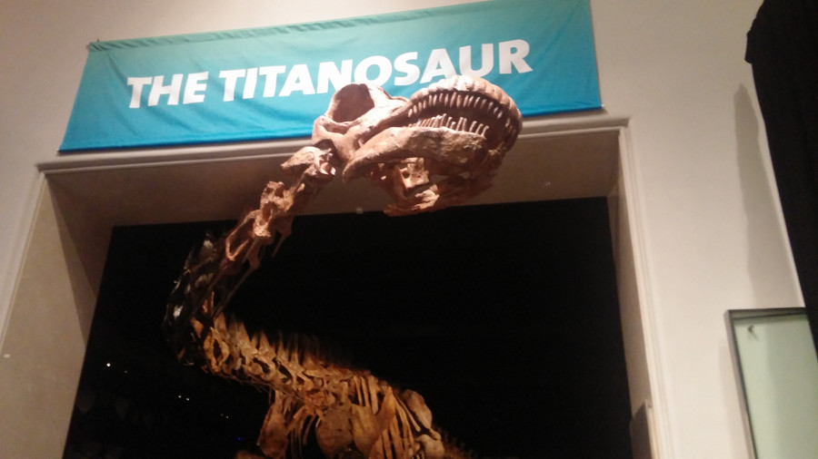 The world´s largest dinosaur: From Chubut to New York