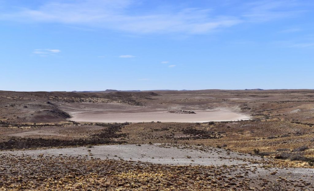 Yacimiento paleontológico