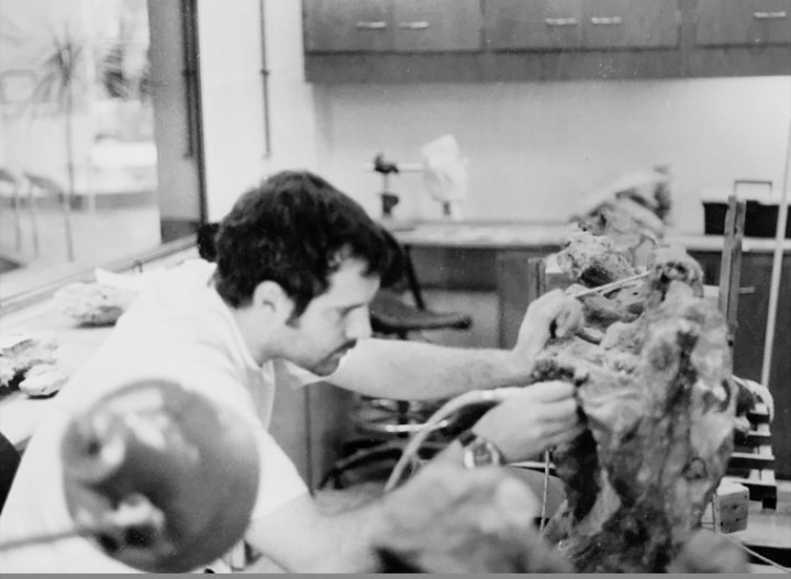 La historia de Tehuelchesaurus: Radiación, piel y huesos