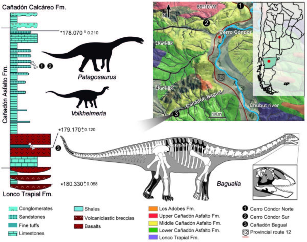 ¡Nuevo estudio sobre un Dinosaurio herbívoro del Jurásico de Chubut!