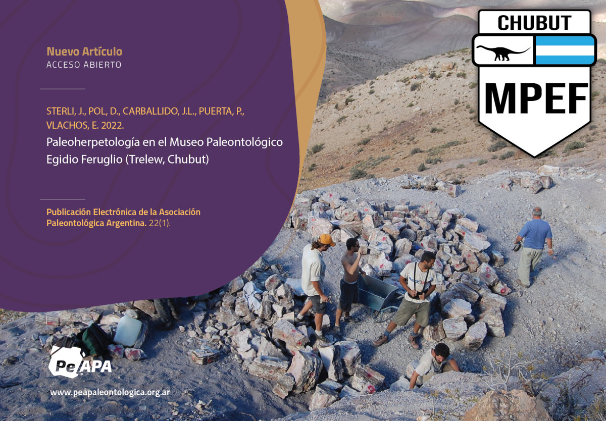 Una recopilación de 32 años de investigaciones en el Mef