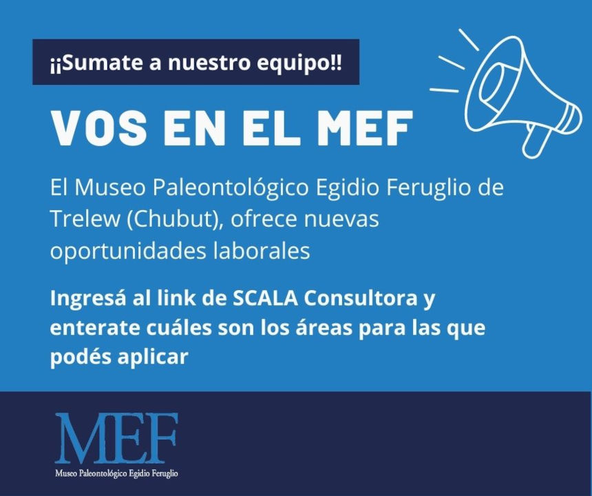 Vos en el Mef ¡Sumate a nuestro equipo de trabajo!